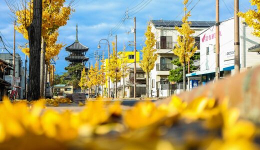 地元愛あふれる方、集まれ！善通寺市の「好き」を地図にするプロジェクトが始動！※参加無料で申込受付中