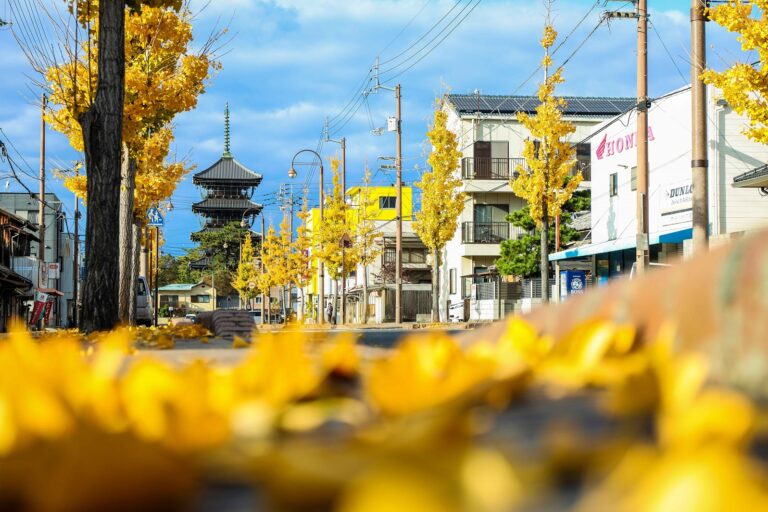 地元愛あふれる方、集まれ！善通寺市の「好き」を地図にするプロジェクトが始動！※参加無料で申込受付中