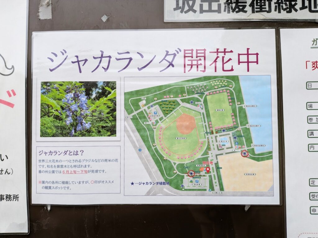 坂出市 番の州公園