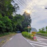 まんのう町 天川神社の三本杉 紫陽花