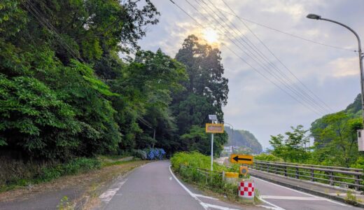 香川の不思議スポット！まんのう町の国道を分断する樹齢約700年「天川神社の三本杉」と、その奥に隠れたアジサイの世界をのぞいてきた