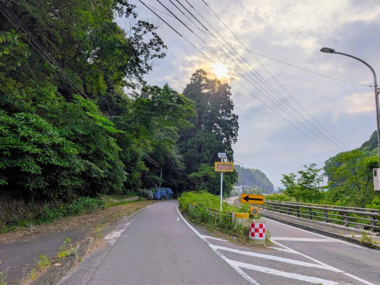 香川の不思議スポット！まんのう町の国道を分断する樹齢約700年「天川神社の三本杉」と、その奥に隠れたアジサイの世界をのぞいてきた