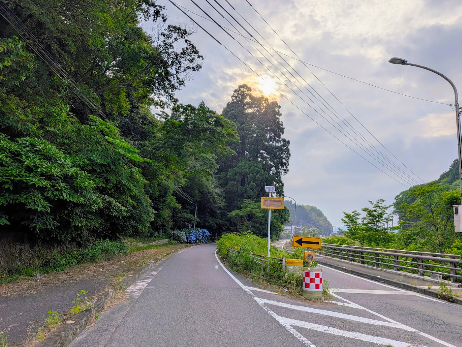 まんのう町 天川神社の三本杉 紫陽花