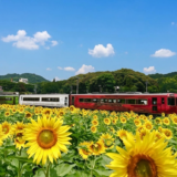 まんのう町 観光列車 四国まんなか千年ものがたり ひまわり紀行