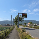 坂出市加茂町 国道11号線