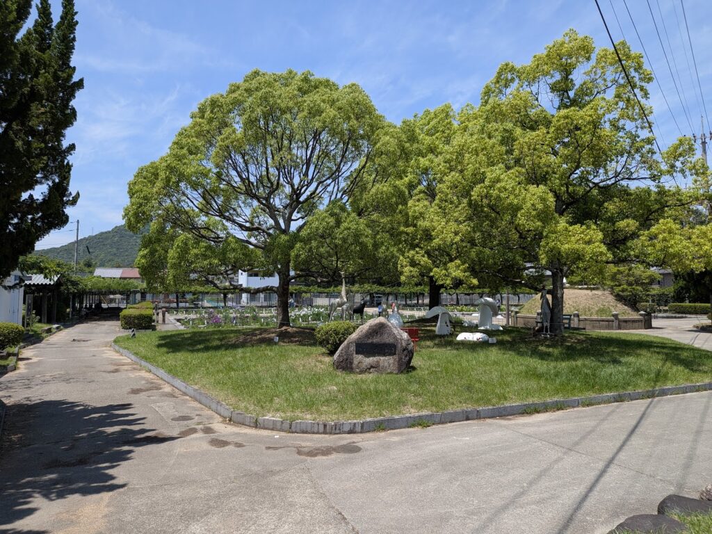 坂出市 かわつ花菖蒲園