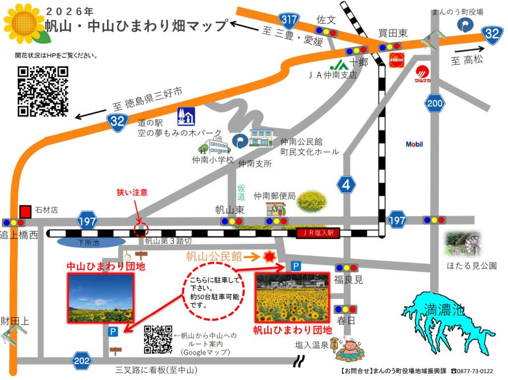 まんのう町 まんのうひまわりまつり