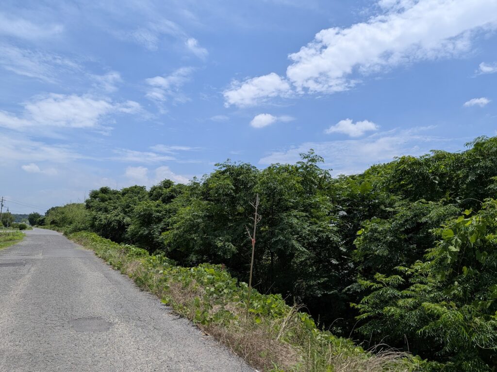綾川町 綾川の風景
