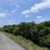 綾川町 綾川の風景