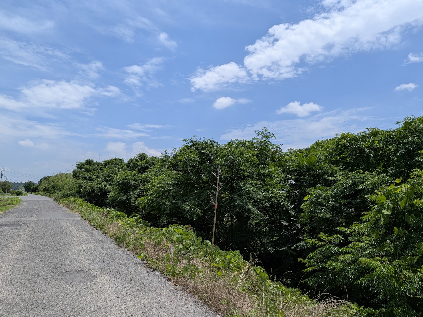 綾川町 綾川の風景