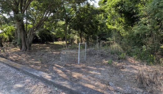 坂出市加茂町の山ぎわで見つけた大きな箱罠が中に誰もいないのに閉まってるみたい？近くで見守る黒猫さんにヒヤッとした話