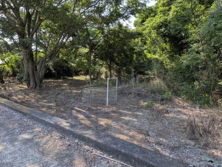 坂出市加茂町の山ぎわで見つけた大きな箱罠が中に誰もいないのに閉まってるみたい？近くで見守る黒猫さんにヒヤッとした話