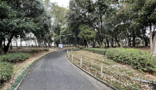 坂出市の番の州公園で夏のイベント開催！8月30日(日)は「バラの夏剪定」があるみたい
