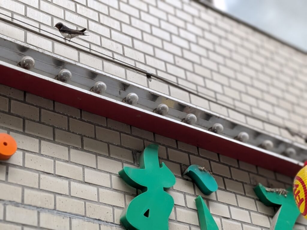 琴平町 新町商店街(歌舞伎新町)