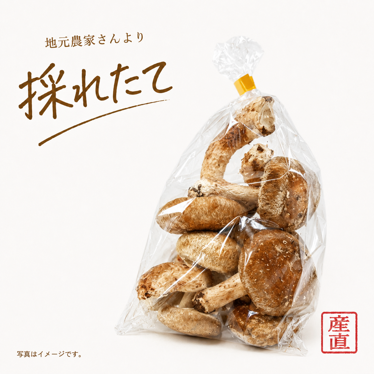 しいたけ