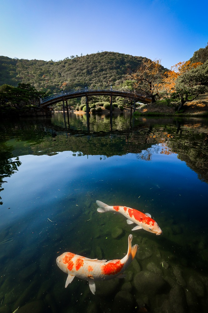 まんのう公園 第5回 香川の公園Instagramフォトコンテスト入賞作品展