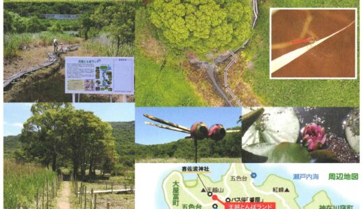 坂出市王越町に王越とんぼランドがリニューアルされて「自然共生サイト」に認定！虫かご・虫とり網の貸出もしてくれるみたい