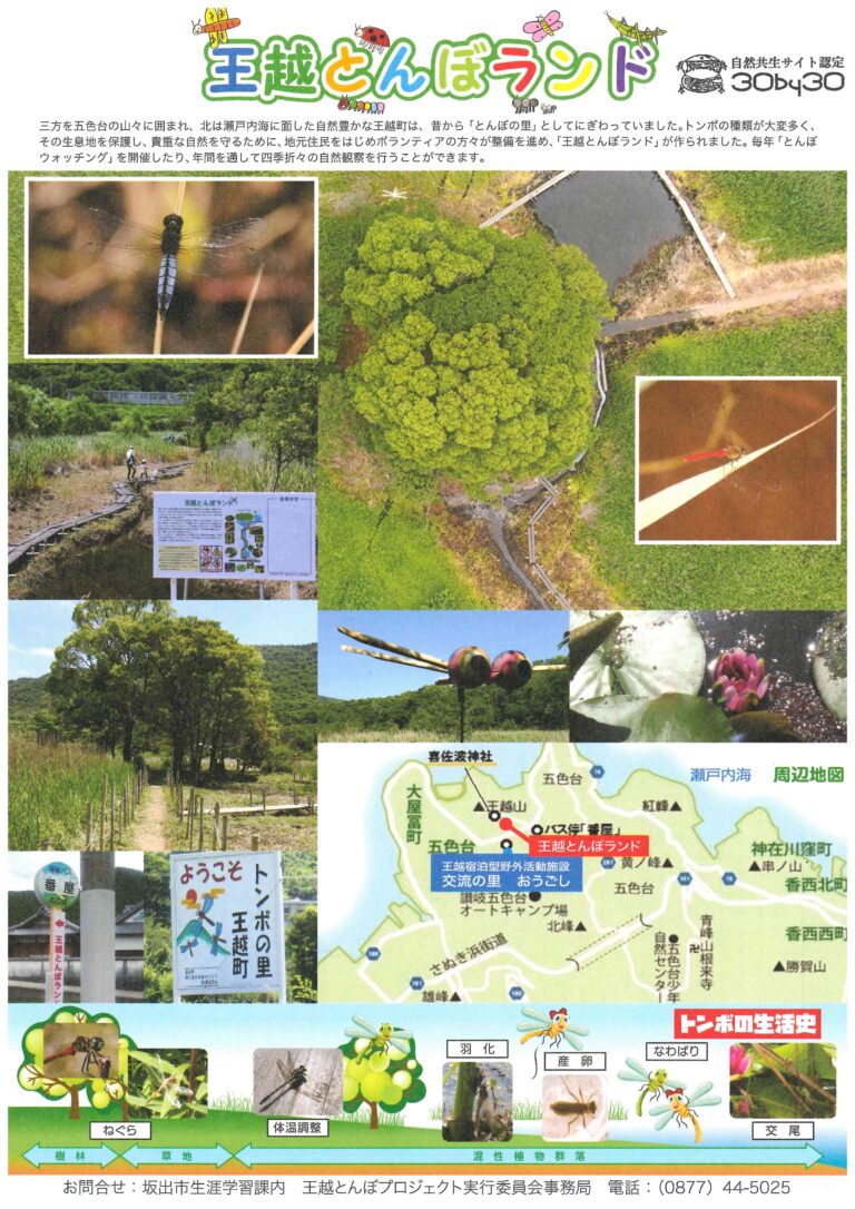 坂出市王越町に王越とんぼランドがリニューアルされて「自然共生サイト」に認定！虫かご・虫とり網の貸出もしてくれるみたい