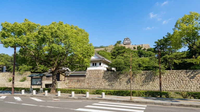 【まじか】丸亀市の中学校「休日の部活動」が2027年9月からガラリと変わるみたい。2026年8月より野球部から先行スタート！