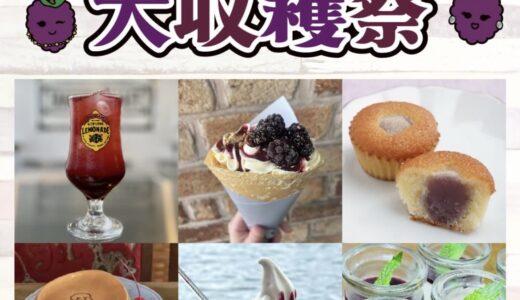 丸亀市内で「ブラックベリー大収穫祭」が開催されてる！8月31日(月)まで対象店舗でコラボメニューが食べられる♪