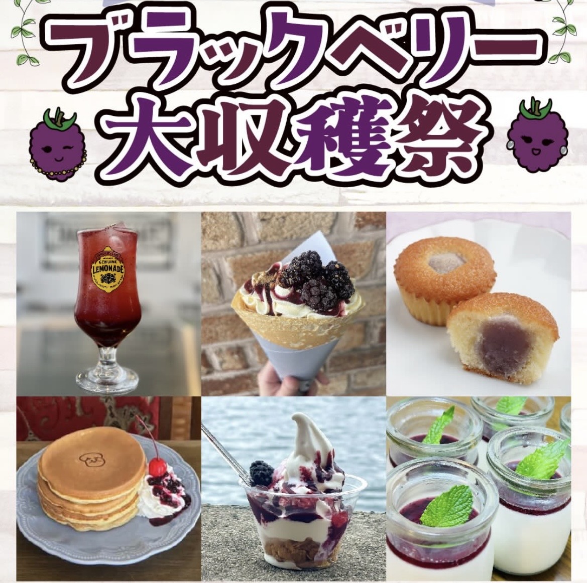 丸亀市 ブラックベリー大収穫祭