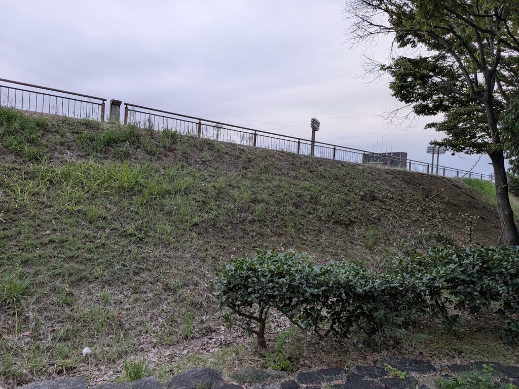 丸亀市総合運動公園 まるみらい広場のきのこ