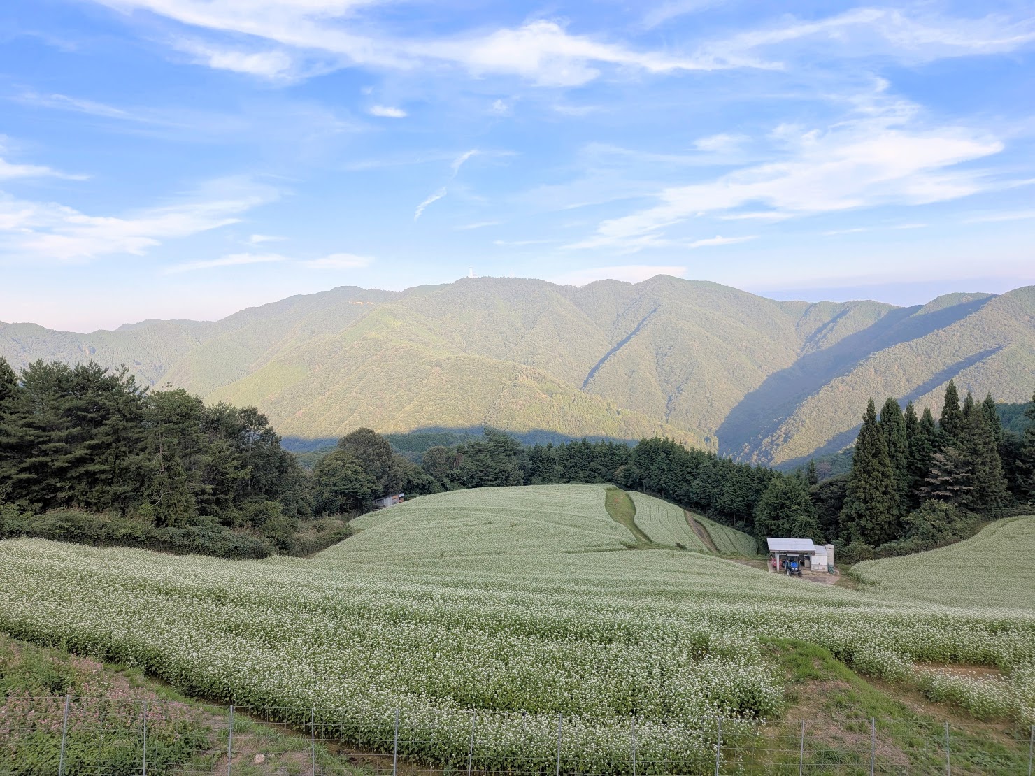 まんのう町 島ケ峰