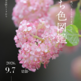 善通寺市フォトコンテスト「まちいろ図鑑」