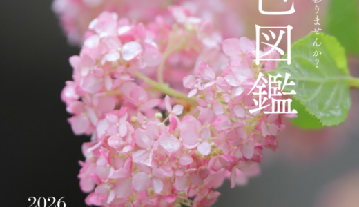 【最優秀賞はゼンツウジペイ3万円分】善通寺市で「オレンジ色」を探せ！フォトコンテスト「まち色図鑑」がスタートするみたい