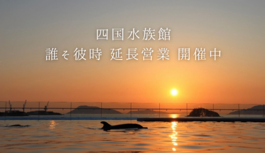 四国水族館で「誰そ彼時延長営業」が2026年9月30日(水)まで実施されてる！日の入り10分後まで水族館を楽しめる♪