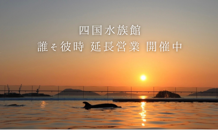 四国水族館 誰そ彼時延長営業 2026