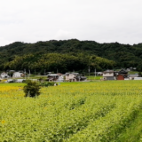 まんのう町 遊ぶ広場