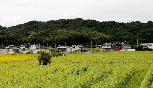 まんのう町が参加者を募集「遊ぶ広報」て何？2週間滞在して7万円もらえる!?