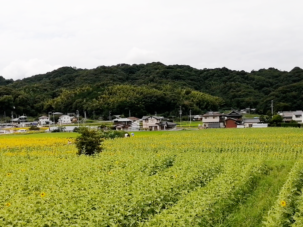 まんのう町 遊ぶ広場