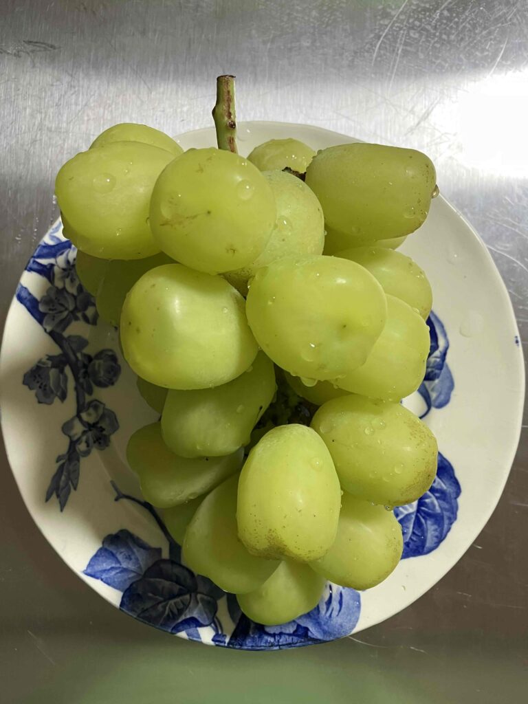 【これぞセレブの贈答品！！】多度津町で育てられた予約制でめったに市場に出回らない幻のぶどう品種「雄宝」を食べてみた！