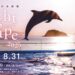 四国水族館 Night Scape こがねいろ2025