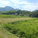 丸亀市川西町 CLAN株式会社 CLAN草刈りサービス