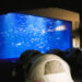 宇多津町 四国水族館 Nightscape Camp 2026春