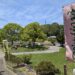 坂出市 かわつ花菖蒲園